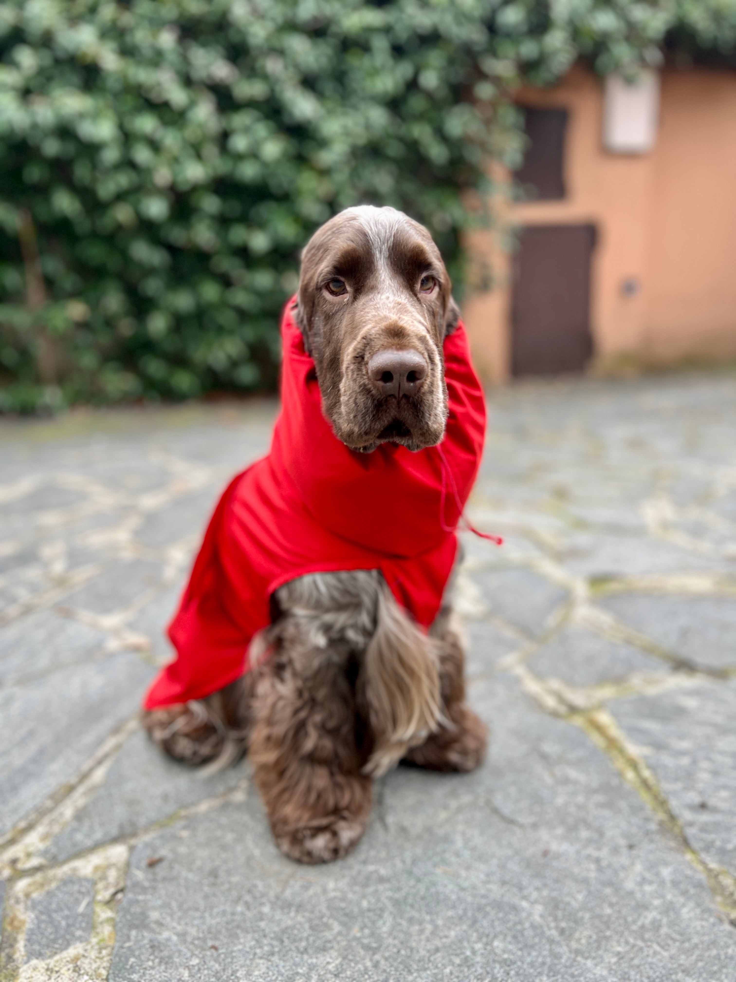 Kway Impermeabile Stelvio