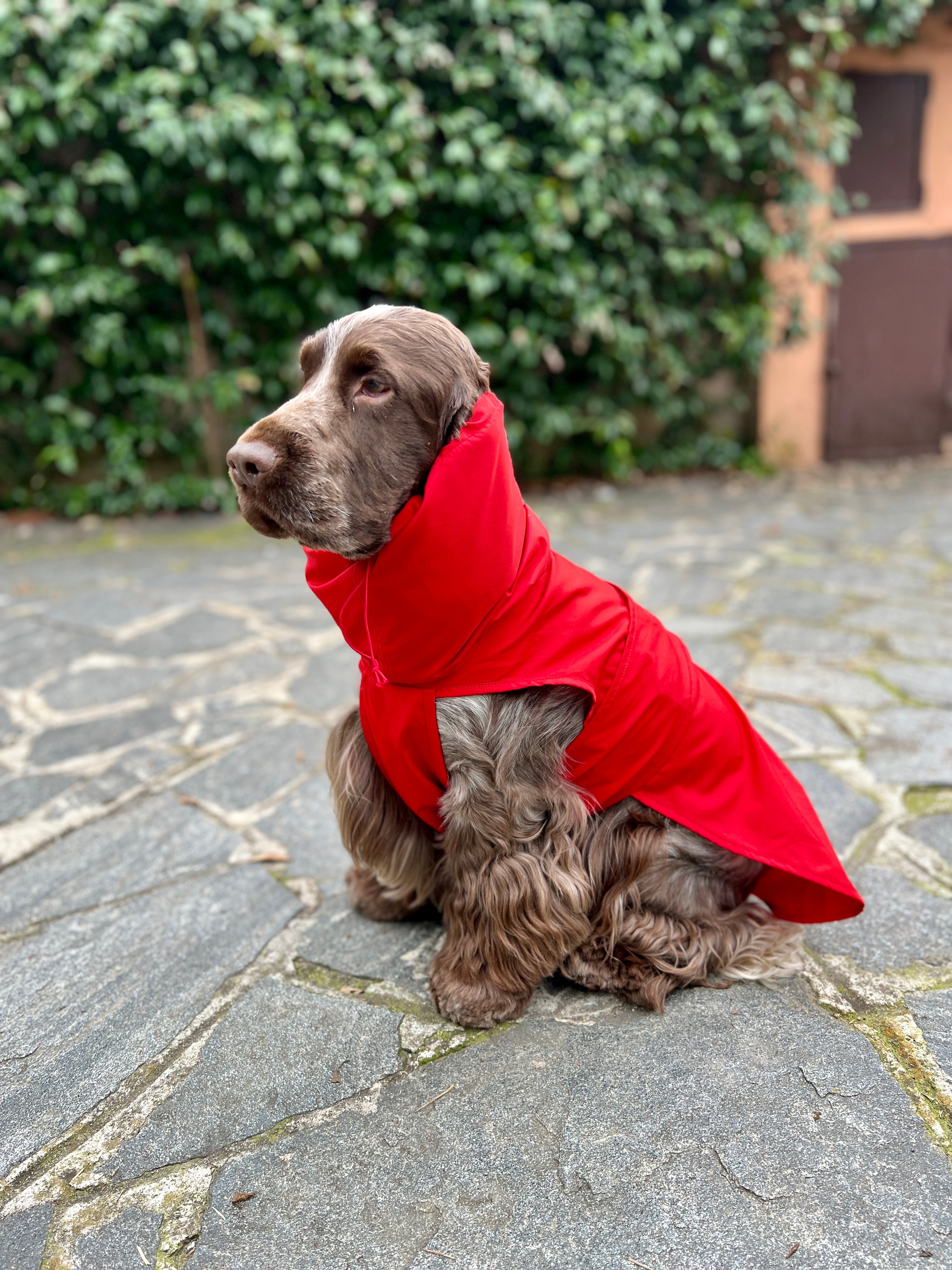 Kway Impermeabile Stelvio