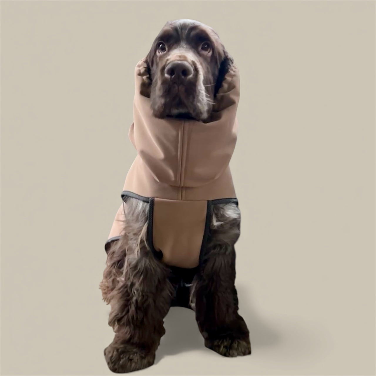 Impermeabile in Soft Shell Dolomiti