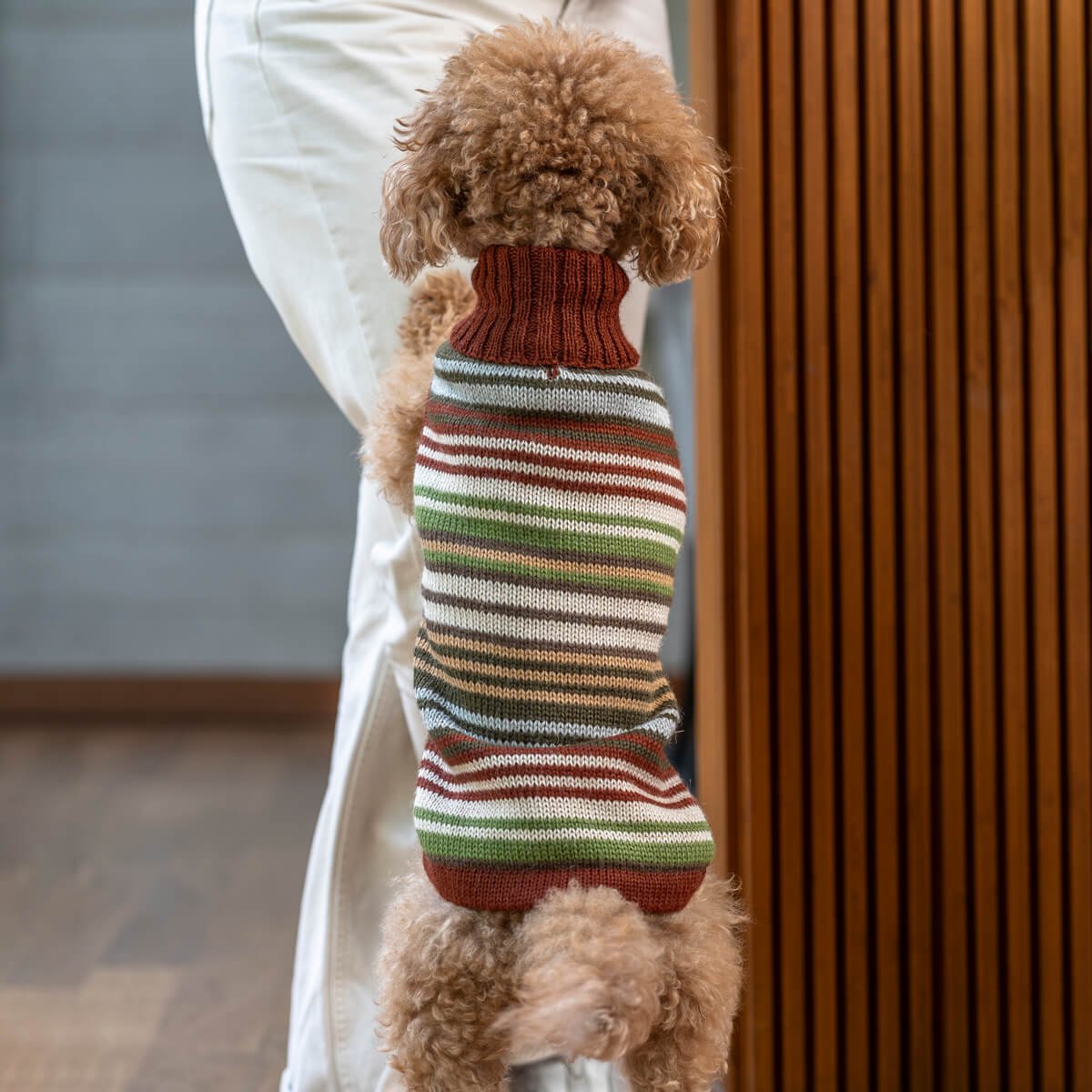 Maglione per cani in alpaca a righe ruggine AlqoWasi