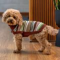 Maglione per cani in alpaca a righe ruggine AlqoWasi