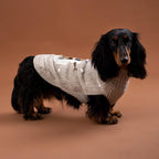 Maglione per cani in alpaca Snowman Taupe