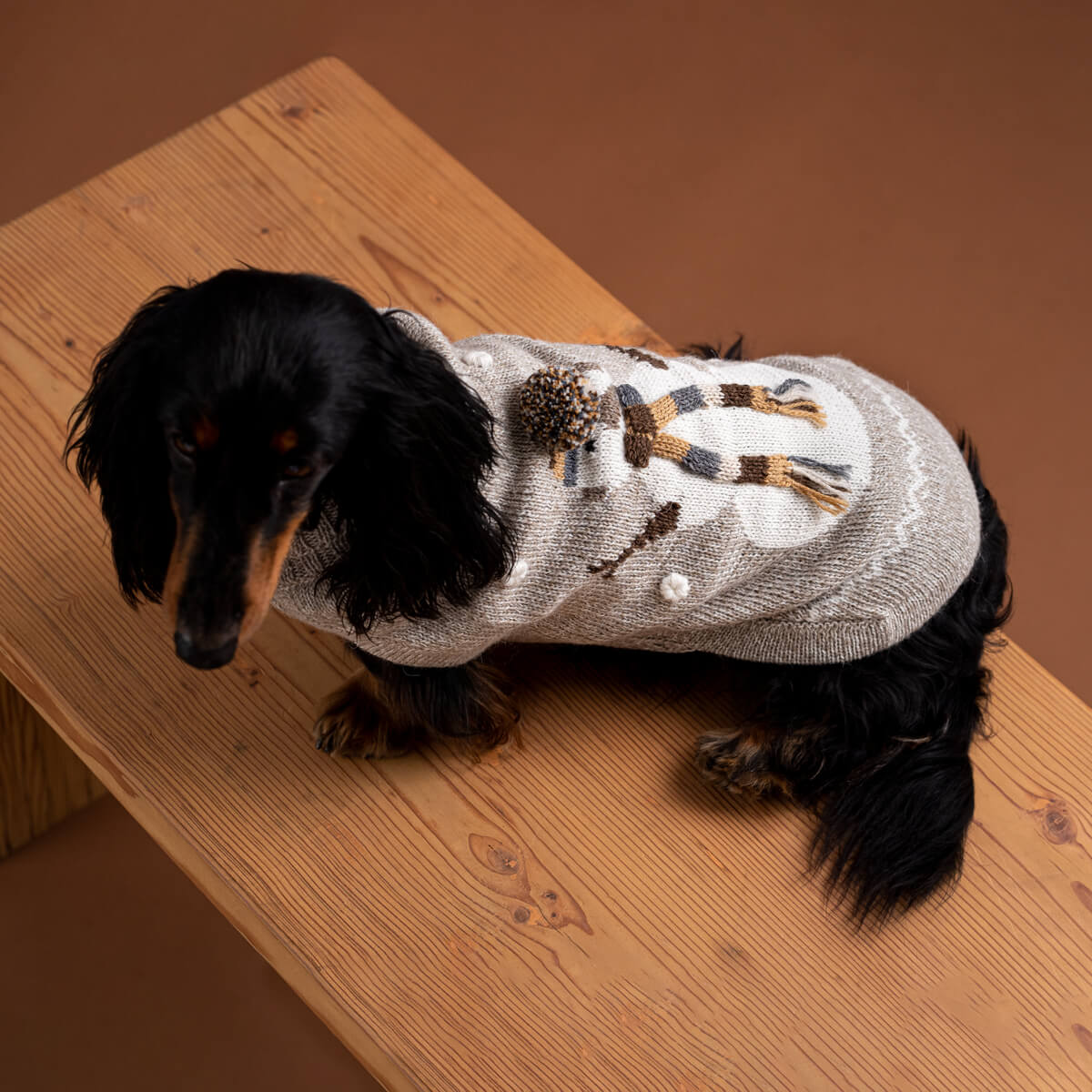 Maglione per cani in alpaca Snowman Taupe