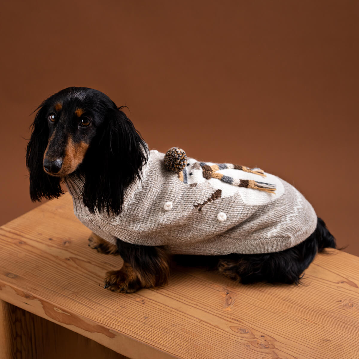 Maglione per cani in alpaca Snowman Taupe