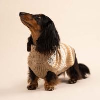 Maglione per cani in alpaca Fall Medley