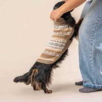 Maglione per cani in alpaca Fall Medley