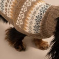 Maglione per cani in alpaca Fall Medley