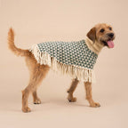 Poncho in alpaca per cani Triad