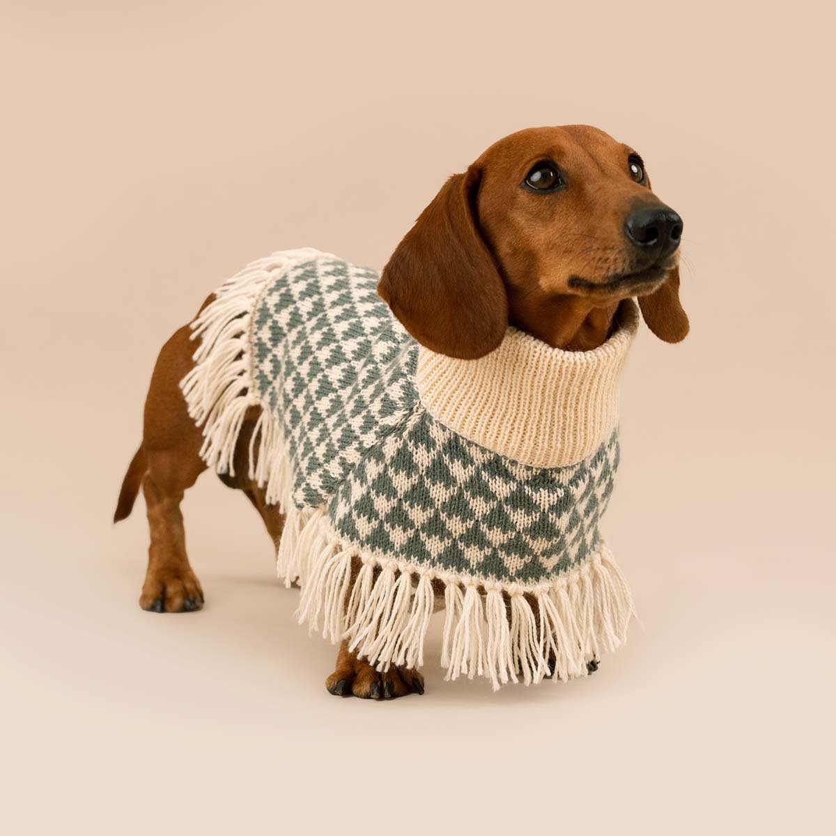 Poncho in alpaca per cani Triad