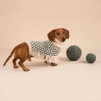 Poncho in alpaca per cani Triad