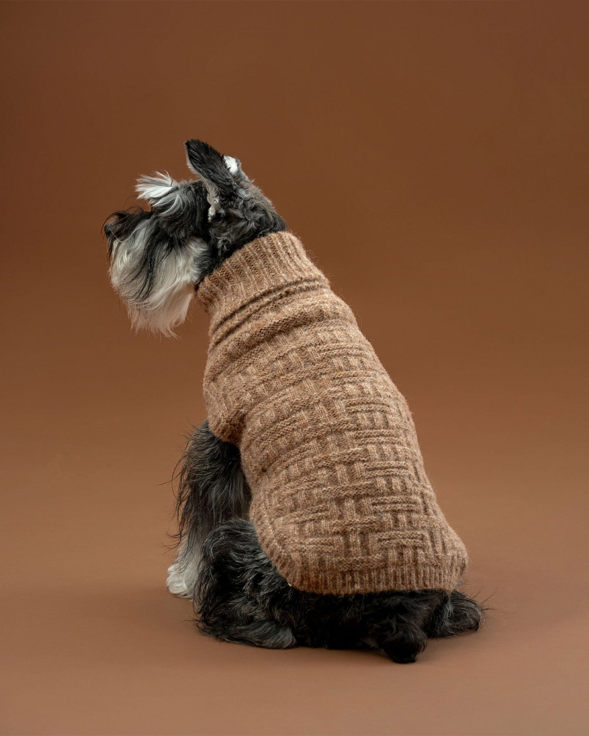 Maglione per cani in alpaca Basket Knit