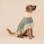 Poncho in alpaca per cani Triad