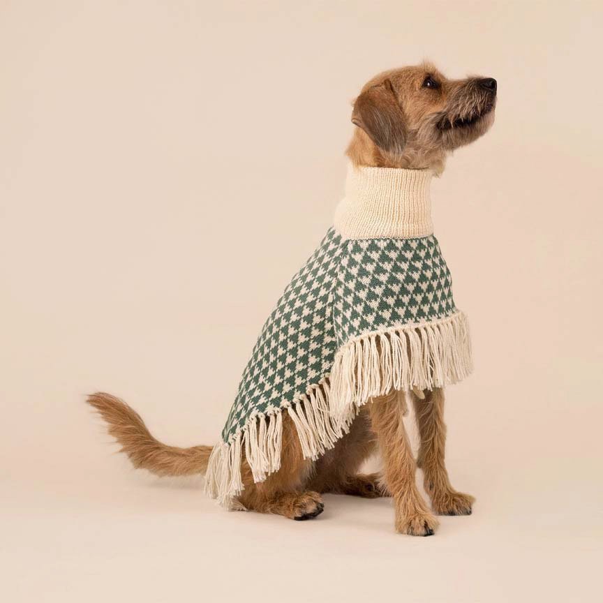 Poncho in alpaca per cani Triad