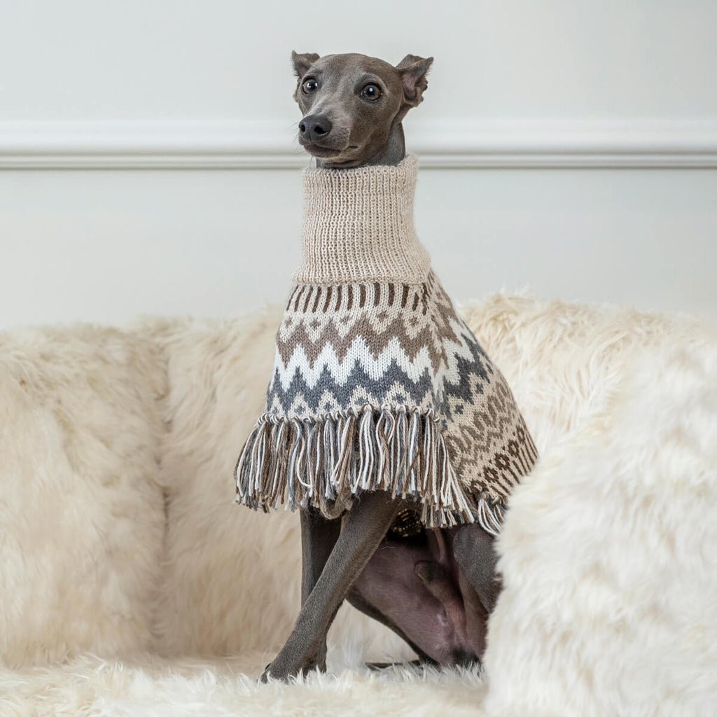 Poncho d'hiver en alpaga Wolly Winter AlqoWasi pour chiens