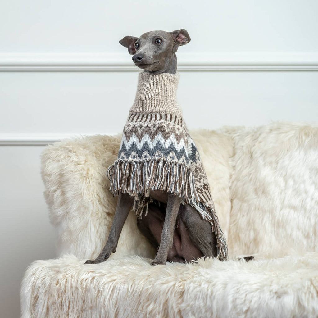 Poncho d'hiver en alpaga Wolly Winter AlqoWasi pour chiens
