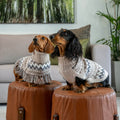 Maglione Wolly Winter in lana di alpaca per cani AlqoWasi